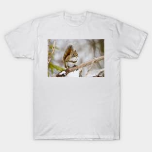 Red Squirrel T-Shirt